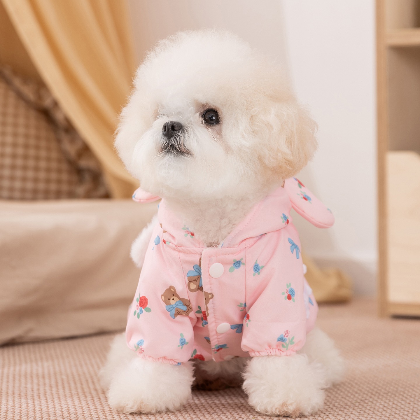 Vêtements d'hiver pour chiens  - Winter Clothing Patterns avis et prix