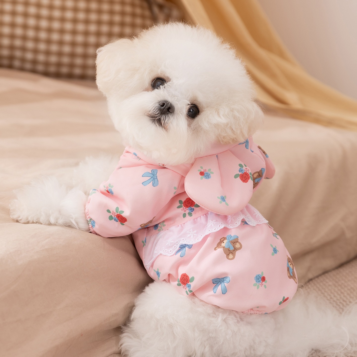 Vêtements d'hiver pour chiens  - Winter Clothing Patterns avis et prix